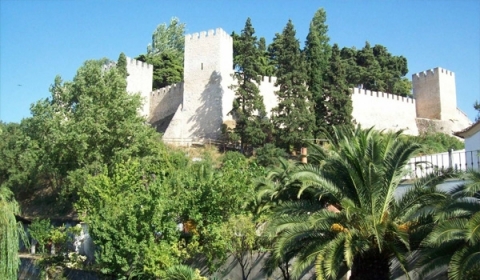 Castle of  Torres Novas 